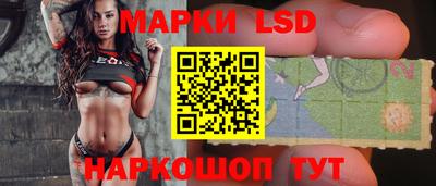 прущие грибы Нальчик