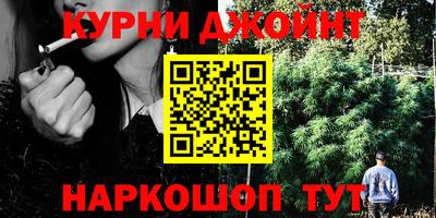 прущие грибы Нальчик