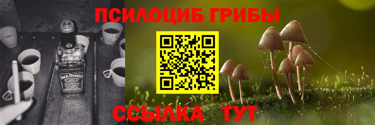 Псилоцибиновые грибы Psilocybine cubensis  Вход с VPN  Псилоцибиновые грибы Psilocybe  Боровичи 